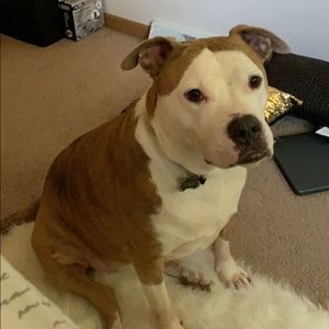 Meet your Posher, Autumn